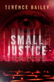 Small Justice